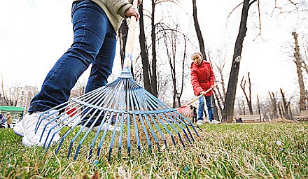 Месячник по наведению порядка на земле объявлен в Вороновском районе