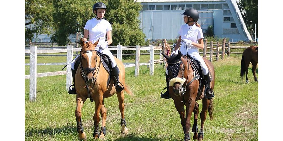 В Лиде прошел чемпионат Гродненской области по конному спорту
