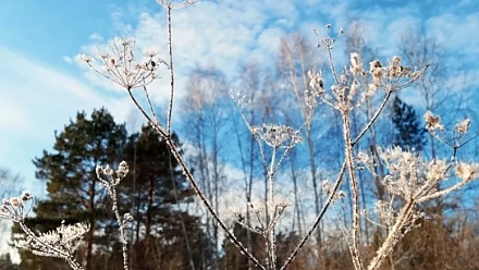 Заточите ножи в Захарьев день: народные приметы на 21 февраля