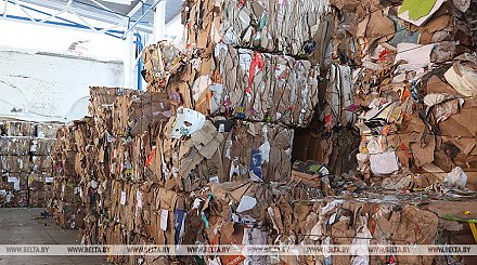 В Беларуси продлили лицензирование экспорта макулатуры