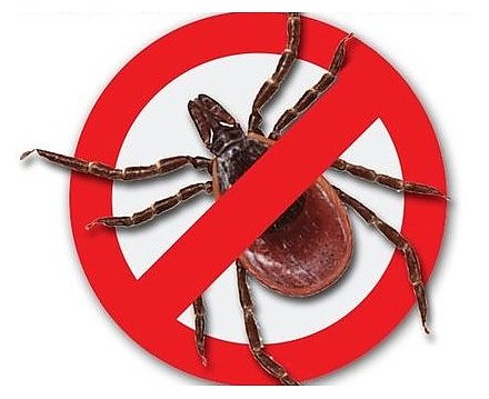 Не попадись в клещи