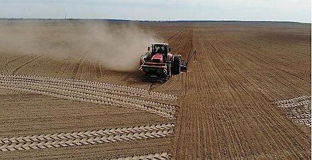 Александр Лукашенко о сельском хозяйстве: надо сжав зубы выдержать этот и, возможно, следующий год