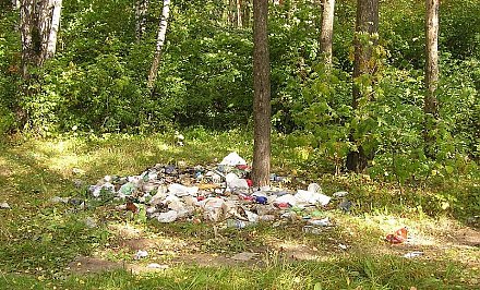 За свалку в лесу можно будет отдать штраф до 50 базовых величин