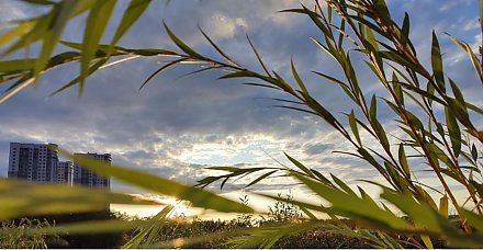 #ПознайБеларусь. Как будет проводиться республиканский конкурс социальной рекламы с 2024 года