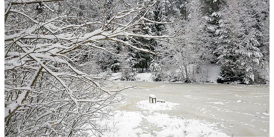 Снежный покров в 32 см. Синоптики рассказали, где на Гродненщине больше всего выпало снега на выходных и чего ждать в ближайшие дни