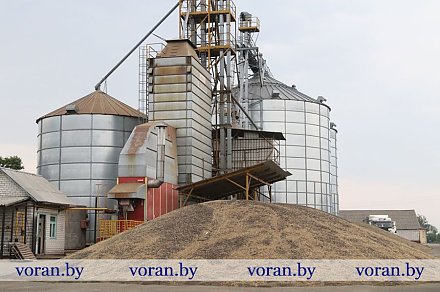 Лидеры жатвы Вороновщины