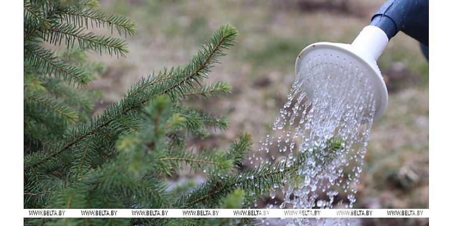 Республиканский субботник проходит сегодня в Беларуси
