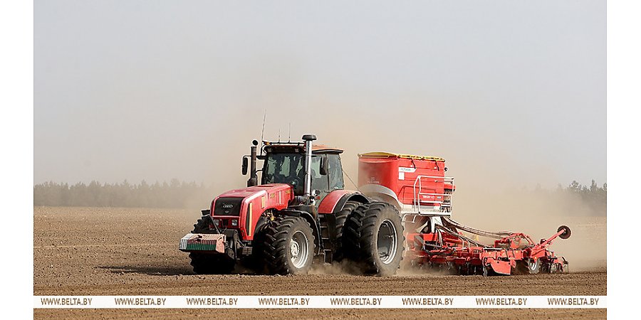 В Беларуси посеяно более 35% ранних зерновых и зернобобовых культур