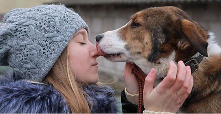 Слова Александра Лукашенко о недопустимости жестокости к животным обнадежили зоозащитников Беларуси