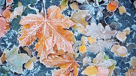 Приметы на 10 ноября 2025: на Параскеву Пятницу устройте гадание