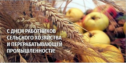 Поздравление депутата Палаты представителей Национального собрания Республики Беларусь Надежды Хальцовой с Днем работников сельского хозяйства и перерабатывающей промышленности АПК!