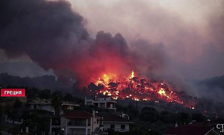 Греция для борьбы с лесным пожаром запросила помощь у других европейских стран (+видео)