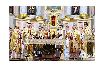 Католические епископы Беларуси встретятся с Папой Франциском