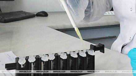 Первые дозы иммунной плазмы заготовлены в Беларуси