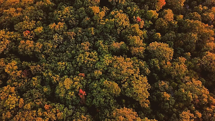 Ни в коем случае не делитесь планами: народные приметы на 26 октября 