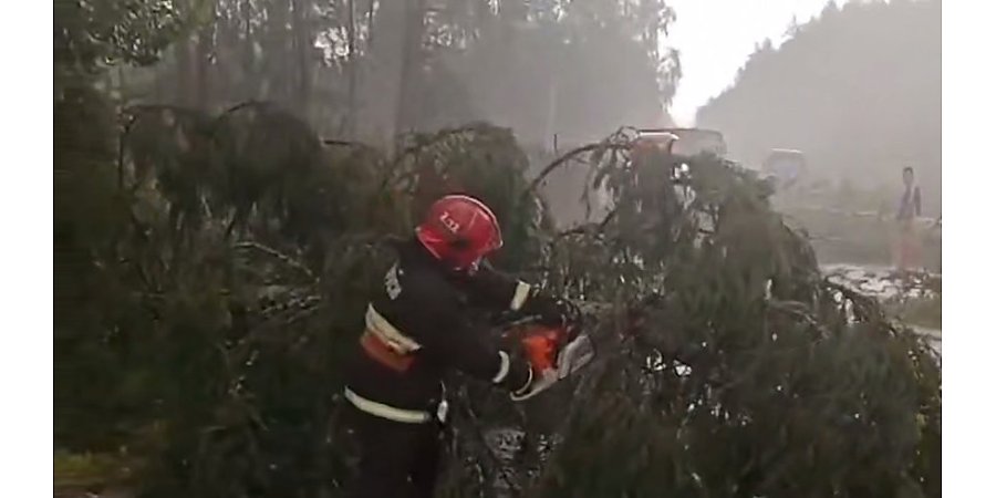 В Гродно спасатели помогали устранять последствия непогоды, мониторинг обстановки продолжается