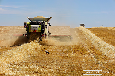 Победители областного соревнования за достижение высоких показателей на уборке урожая зерновых и зернобобовых культур