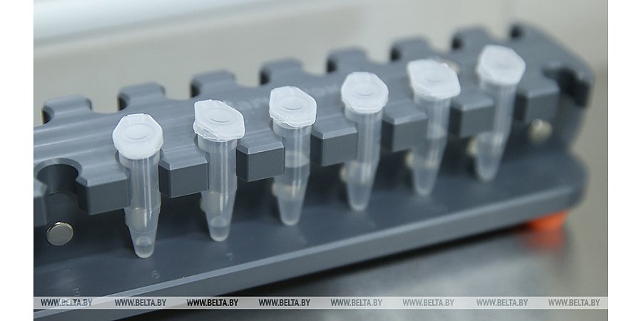 За сутки в Беларуси зарегистрированы 784 пациента с COVID-19, выписаны 404