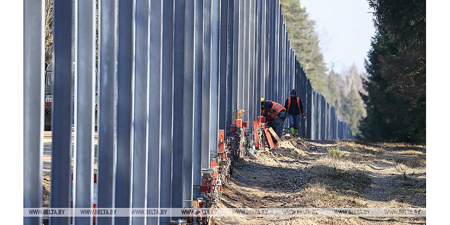 "Памятники человеческой бездумности". Польская газета рассказала, чем может обернуться строительство забора в Беловежской пуще