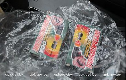 Пограничники предотвратили попытку ввоза в Беларусь патронов и пистолета