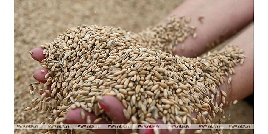Совмин определил объемы закупок сельхозпродукции и сырья для госнужд на 2023 год