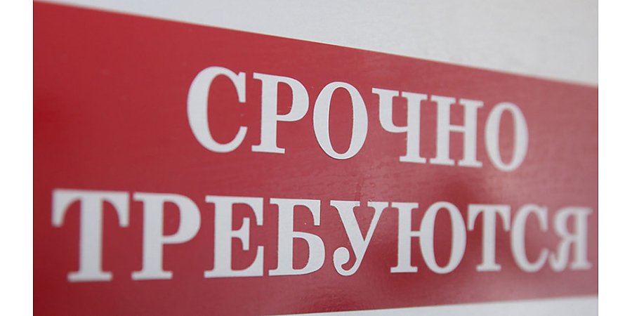 В Гродненской области в банке вакансий находится более 16 тыс. предложений