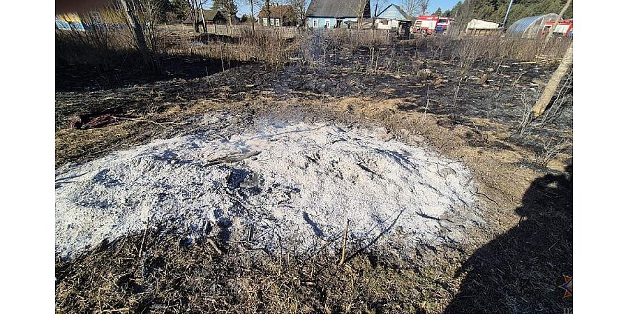 В Гродненской области зарегистрирован первый пожар, который привел к загоранию сухой растительности