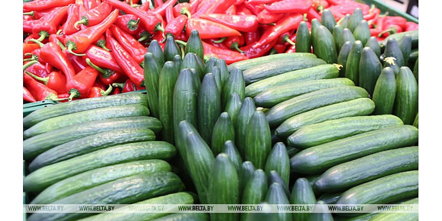 Брыло: в Беларуси уровень самообеспечения почти по всем продуктовым группам превышает уровень потребления