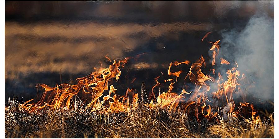 Жгите по правилам! За минувшие выходные на Гродненщине произошли семь случаев возгорания сухой травы