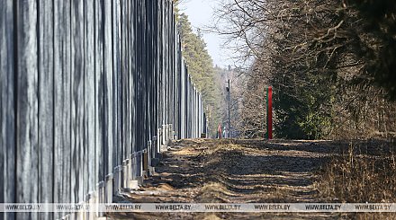 Совет Республики принял заявление в связи со строительством Польшей пограничных заграждений