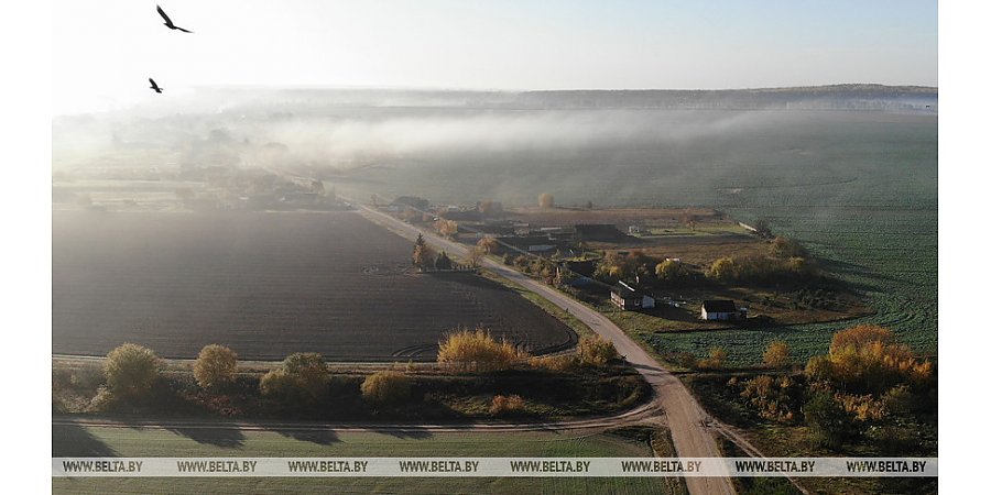 Агентства по госрегистрации и земельному кадастру 4 ноября проконсультируют бесплатно