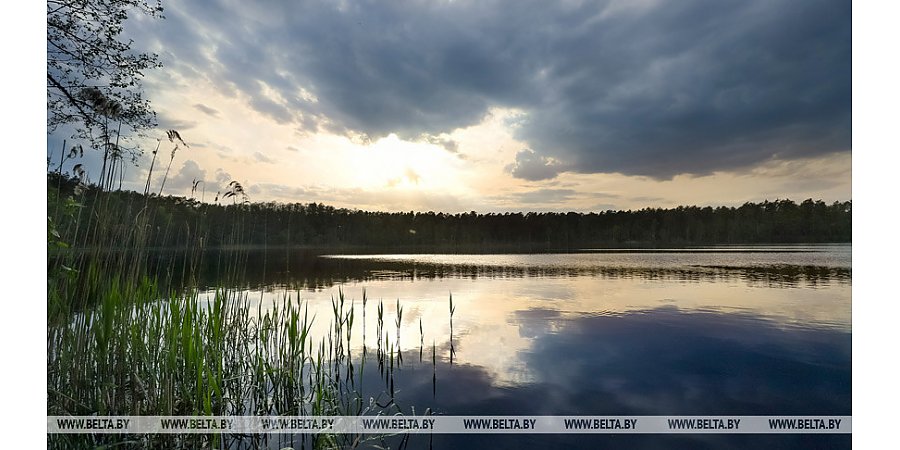 Дожди и местами заморозки прогнозируются в Беларуси 15 мая