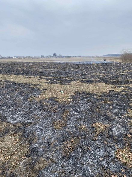 Палы-уничтожители уже в деле