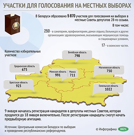 Инфографика: Участки для голосования на местных выборах