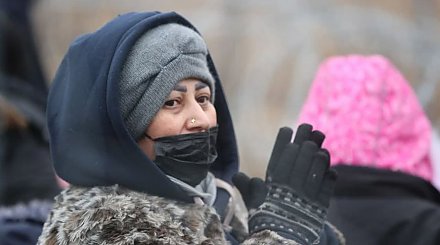 Владимир Путин сообщил о готовности Александра Лукашенко и Ангелы Меркель к диалогу по кризису на границе ЕС