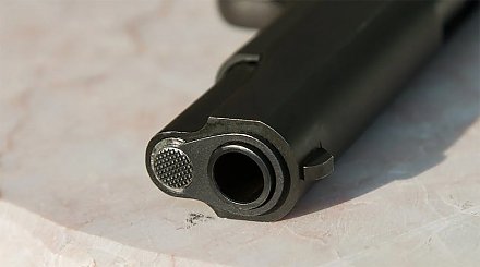 В Польше в 2023 году выдали рекордное число разрешений на ношение оружия