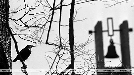 По ком звонят колокола Хатыни… 22 марта исполняется 79 лет со дня Хатынской трагедии. Знай и помни!