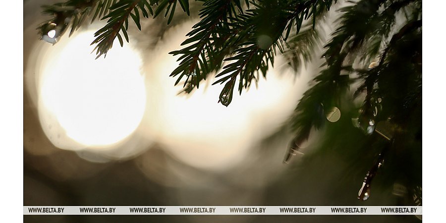 Акция "Лес! Дабро! Парадак!" стартует в Беларуси