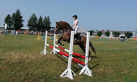 В Лидском районе пройдет чемпионат области по конному спорту