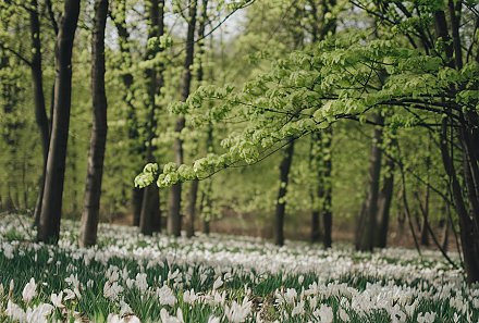 Народные приметы на 23 марта 2026 года: что нельзя делать в день Василисы — вешней воды указательницы