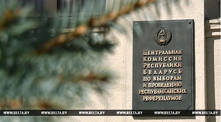 В Беларуси на выборах в местные Советы будет образовано более 18 тысяч избирательных округов