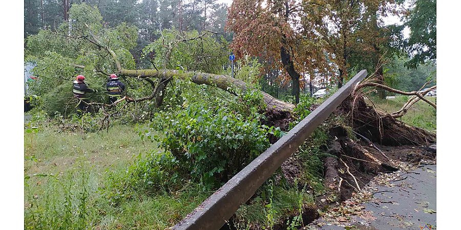 МЧС: из-за непогоды пострадали 30 населенных пунктов Беларуси