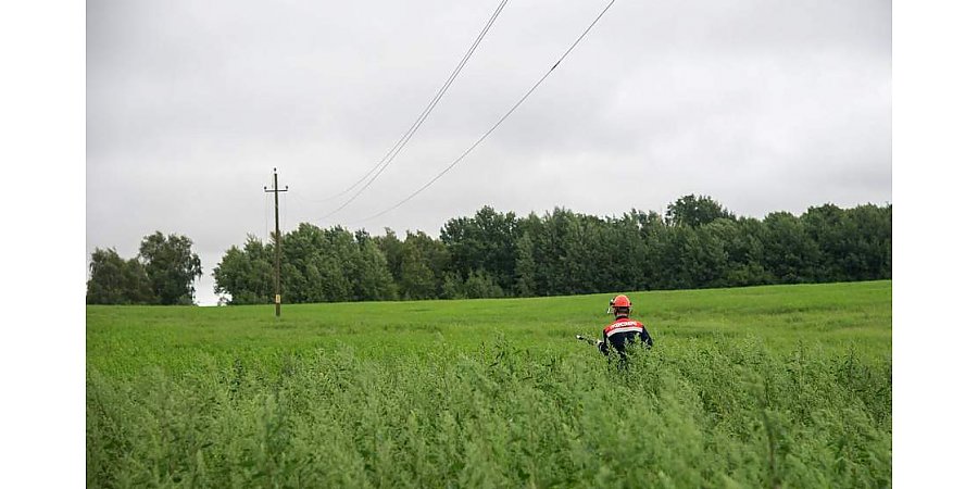 Энергетики восстанавливают электроснабжение в пострадавших от непогоды районах Гродненской области