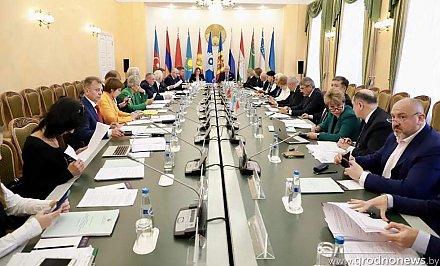 Вопросы электорального суверенитета и защиты прав граждан в веб-среде обсудили на заседании постоянной комиссии Межпарламентской Ассамблеи государств-участников СНГ