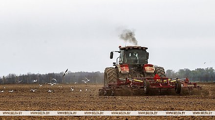В Беларуси завершается сев сахарной свеклы