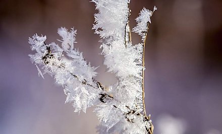 Сильные заморозки и мокрый снег. Какая будет погода в Беларуси на следующей неделе