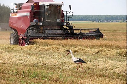 В добрый путь, жатва!