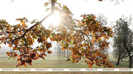 Без существенных осадков и до +13°С будет сегодня в Беларуси