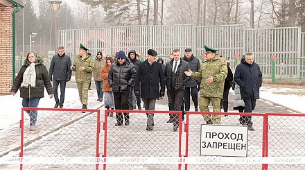 Железный занавес и урон реликтовому лесу. Представители международных организаций оценили влияние польского забора на Беловежскую пущу