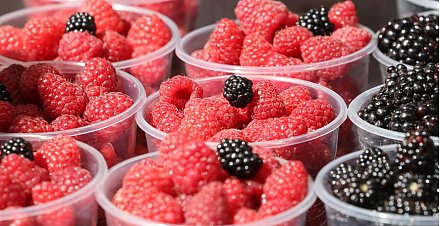 Сезон сбора ягод и грибов в самом разгаре: нужно ли платить налог